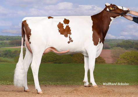 Stina VG-86