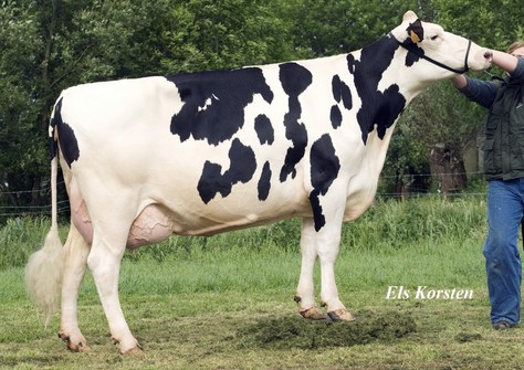 Stoetje 2 VG-86