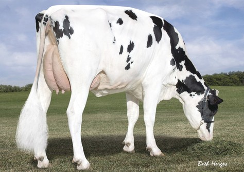 Sully Planet Montreal VG-87