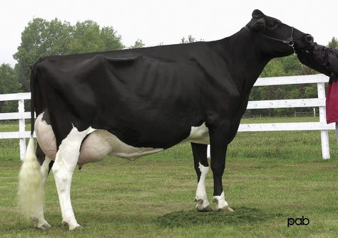 Thiersant Lili Starbuck EX-94