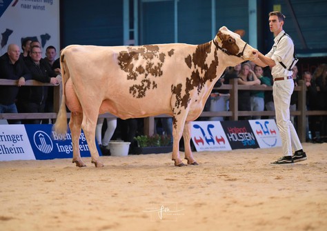 Tienmorgen Marie Suze 7 EX-91