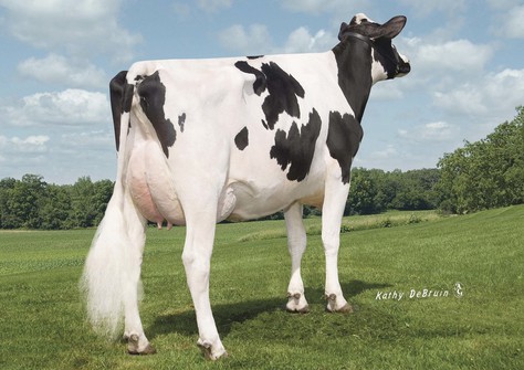 Tiger-Lily Planet Limbo VG-85