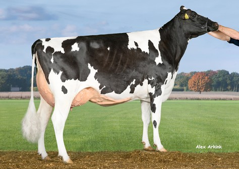 Tirsvad Sargeant Nicole EX-93