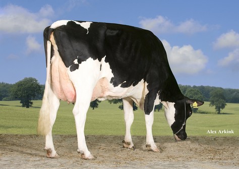 Tirsvad Stol Joc Nemo VG-87