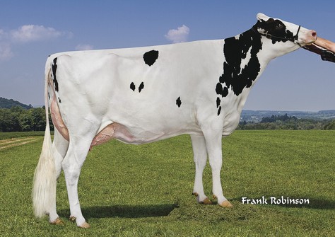 TJR McCutchen Diamond EX-92