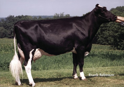 Tolare Rudolph Cupid, zus v Jimtown QP VG-85