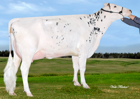 Tramilda-N Baxter Emily VG-85