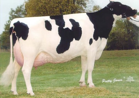 Tri-Day Ashlyn EX-96