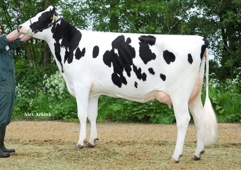 Veenhuizer Nelleke VG-87