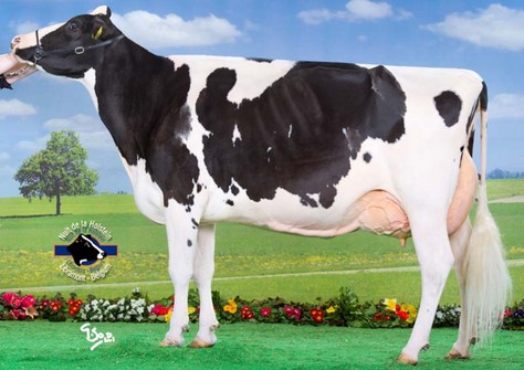 Veenhuizer Damion Winnie EX-92