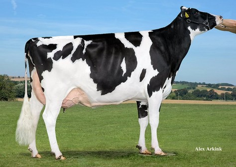 Vendairy Mac Breesh VG-87