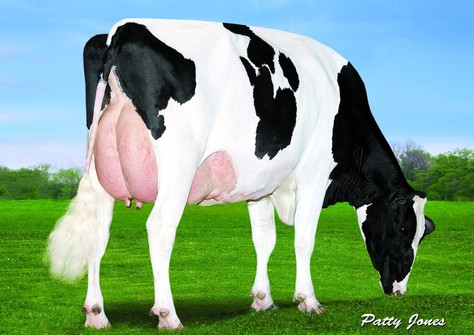 View-Home Mcc Found VG-88