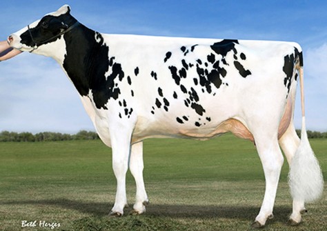 Vision-Gen SH Sho A12037 VG-87