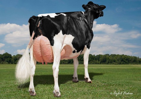 Walk-Era Dundee Annelise EX-95 Walk-Era Dundee Annelise EX-95