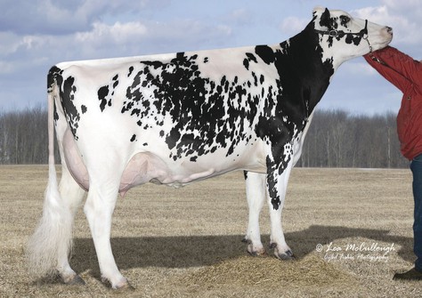 Wargo-Acres Mardi-ET VG-86