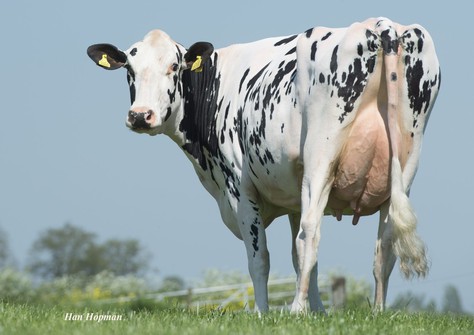 Watermolen Supersire Marijke VG-87