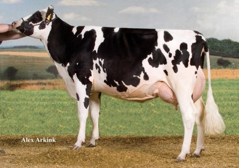 WEH Jessica VG-88