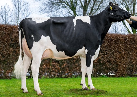 WEH Nora VG-85