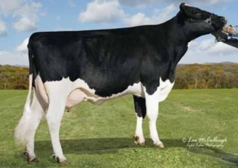 Welcome Marion Winn VG-88