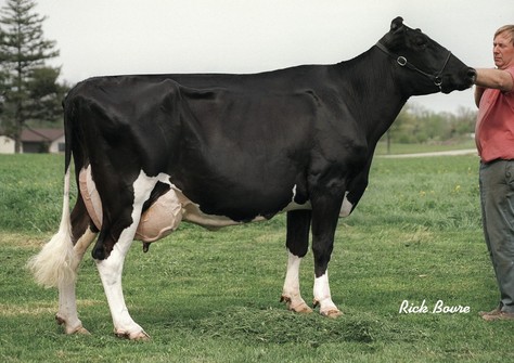 Wesswood-HC Rudy Missy EX-92