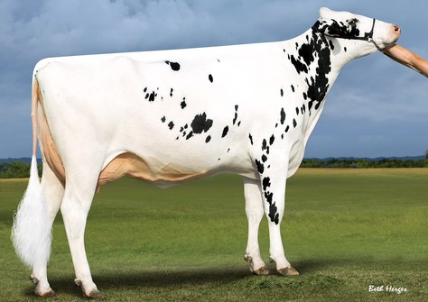 Westcoast Penman Aria 3774-ET VG-87 Westcoast Penman Aria 3774-ET VG-87