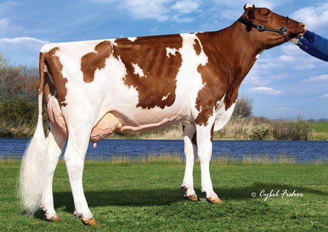 Whittier-Am Madonna-Red EX-92