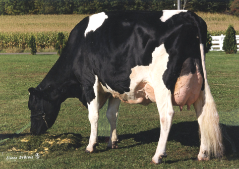 Whittier-Farms Lead Mae EX-95