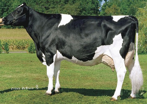 Whittier-Farms Lead Mae EX-95