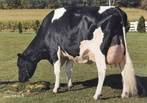 Whittier-Farms Lead Mae EX-95