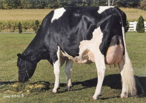 Whittier-Farms Lead Mae EX-95