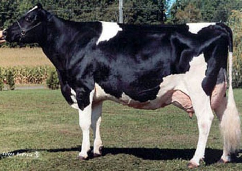 Whittier-Farms Lead Mae EX-95