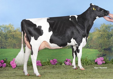 Wilder Mond VG-87