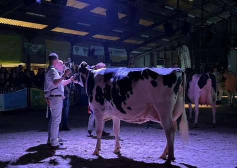 Willem's-Hoeve Rita 2679 EX-90