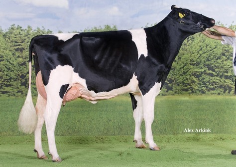 Willem's Hoeve Rita 579 EX-91