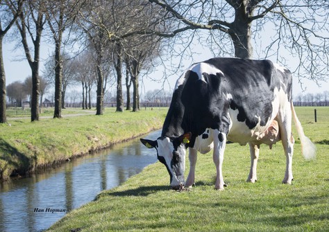 Willem's Hoeve Rita 9863 EX-92