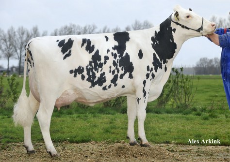 Willem's Hoeve Rita 434 VG-86