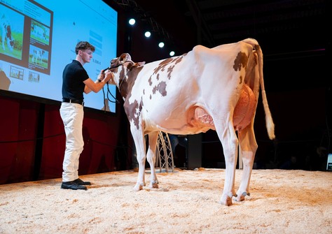 Wilt Aria Red VG-87