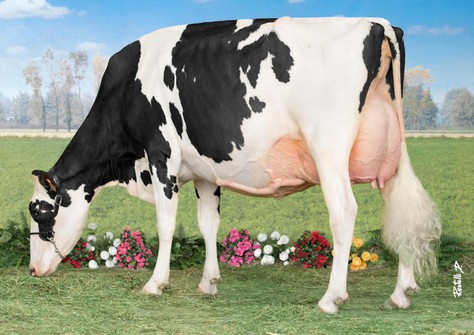 Wilt Elwyn EX-93