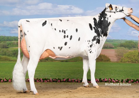 WILT Epoya VG-89