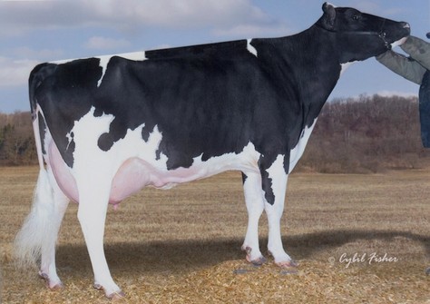 Windy-Knoll-View Policy EX-93