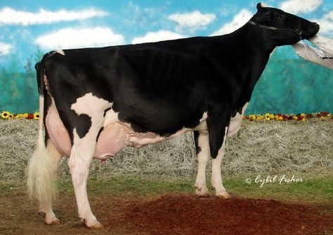 Windy-Knoll-View Promis EX-95