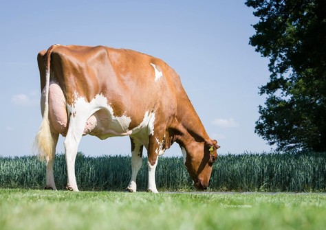 WR Monroe EX-90