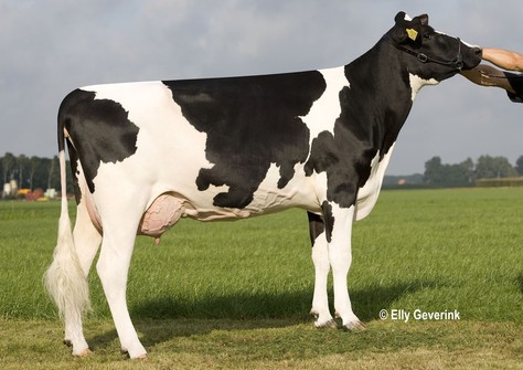 Zeedieker Canalumette RDC VG-86