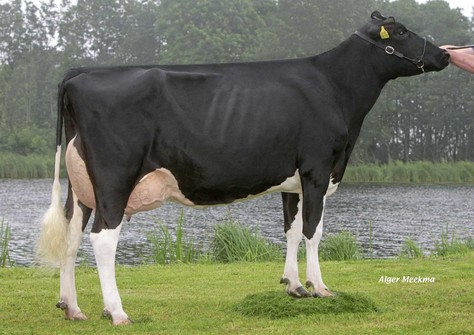 Zeedieker Canalumette 1 VG-89