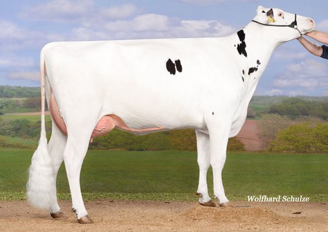 ZHW Atlantis RDC VG-89