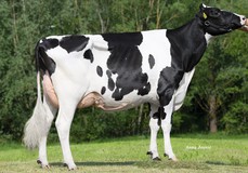 Broekhuis RUW Elite VG-86