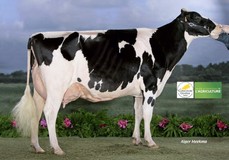 Agathe VG-88