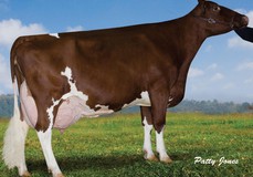 Aldonhill Milestone Brillance VG-88