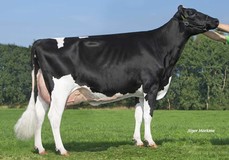 A-L-H Australia RDC VG-87