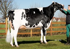 Alida ET VG-86